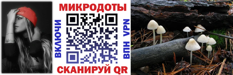 omg   Венёв  Галлюциногенные грибы Cubensis 